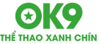 ok9 logo